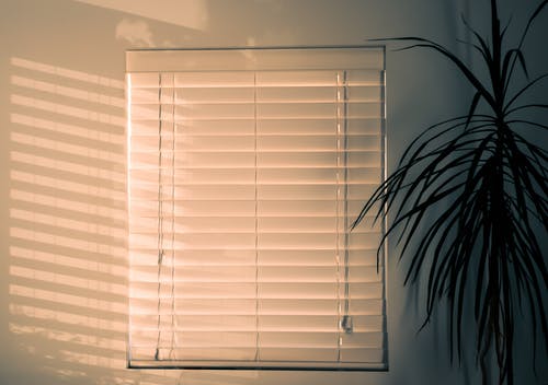 install blinds